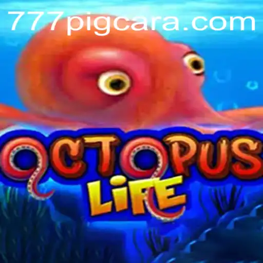 Descubra o Universo Fascinante de OctopusLife
